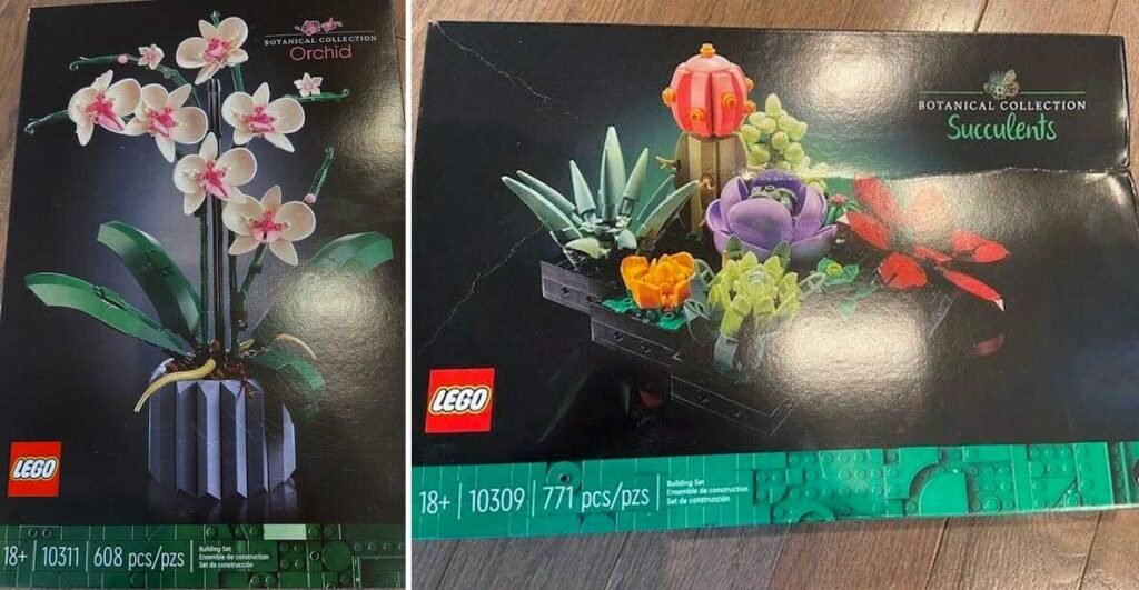 Brickfinder - LEGO Botanical Collection 2022 Sneak Peek!